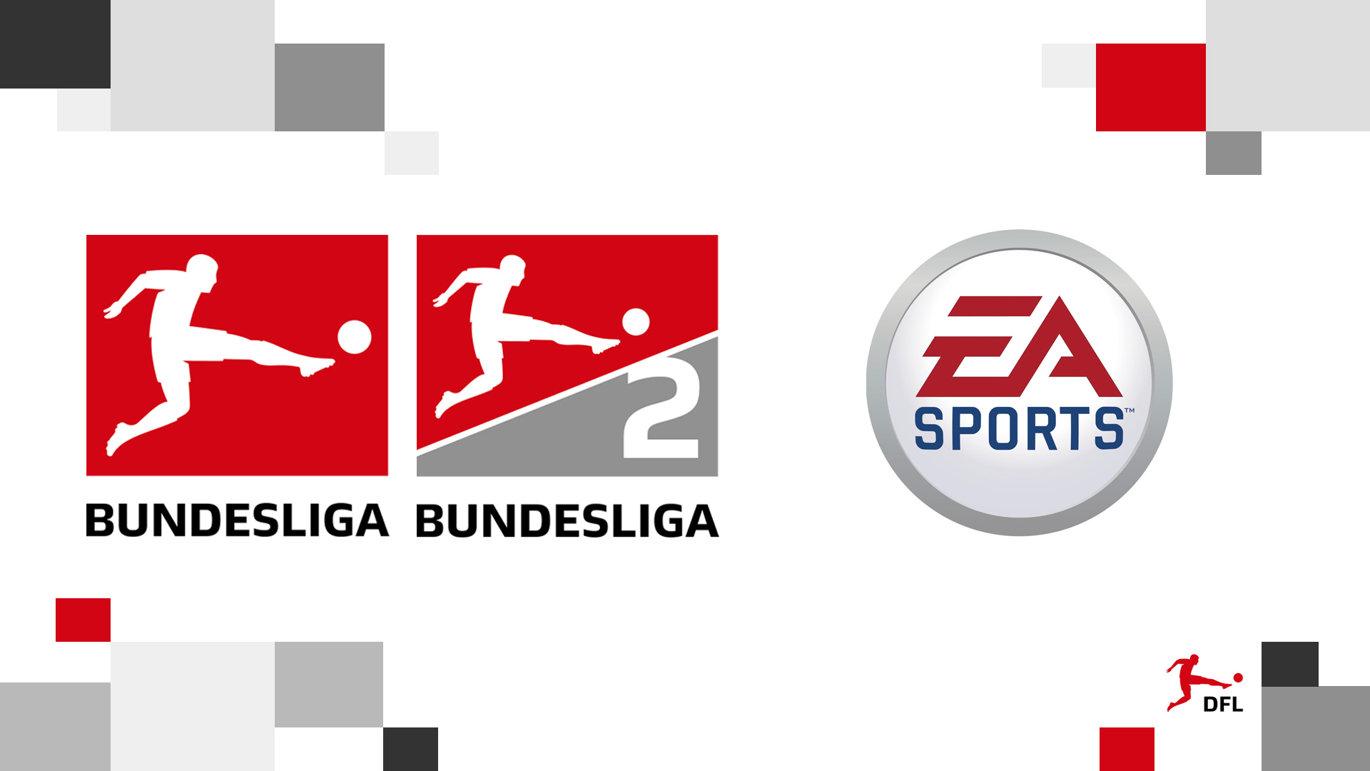 www.dfl.de