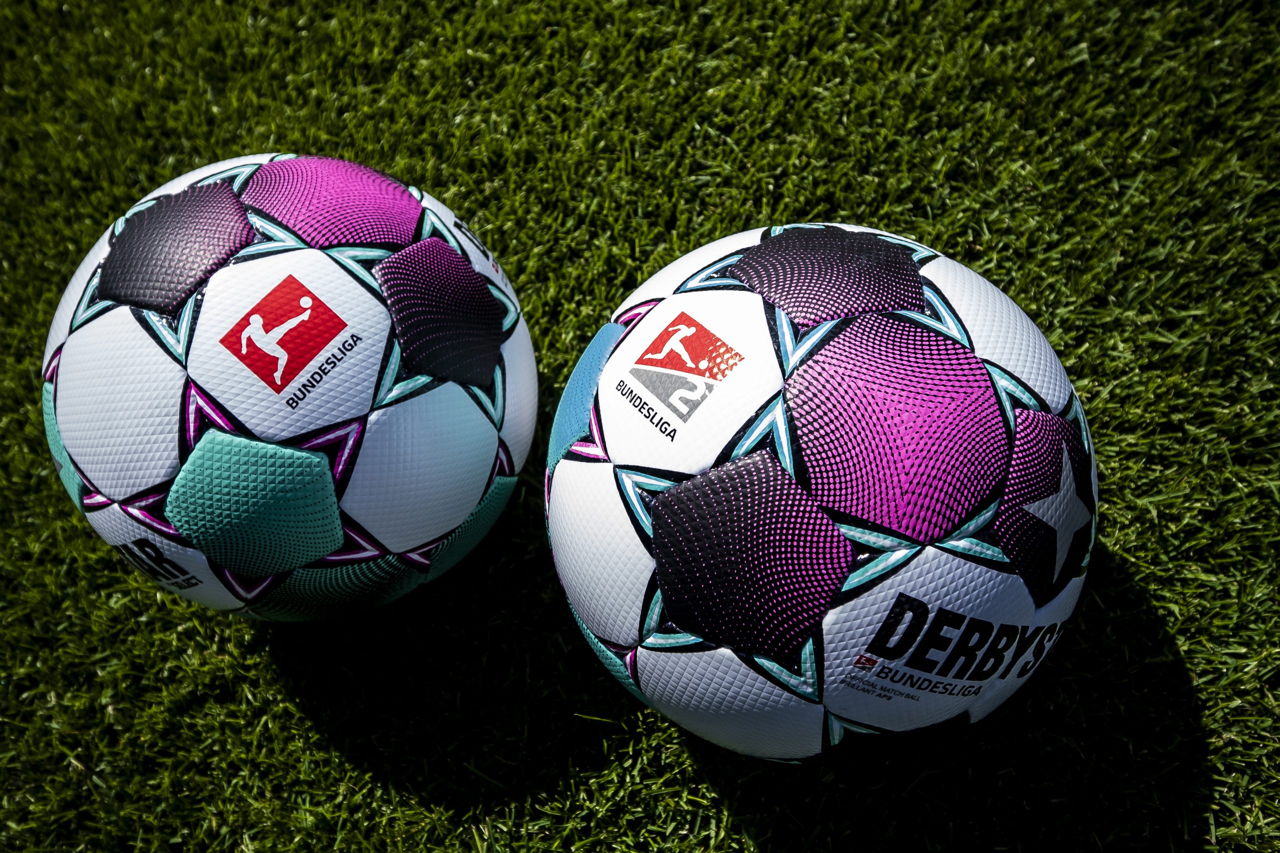 www.dfl.de